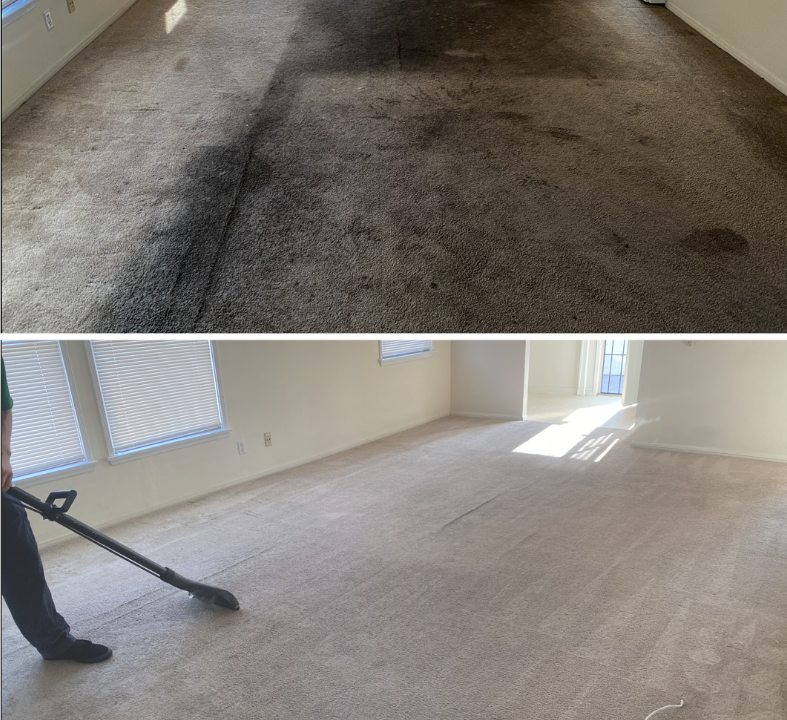Professional carpet cleaning results showing a cleaner, brighter carpet surface.