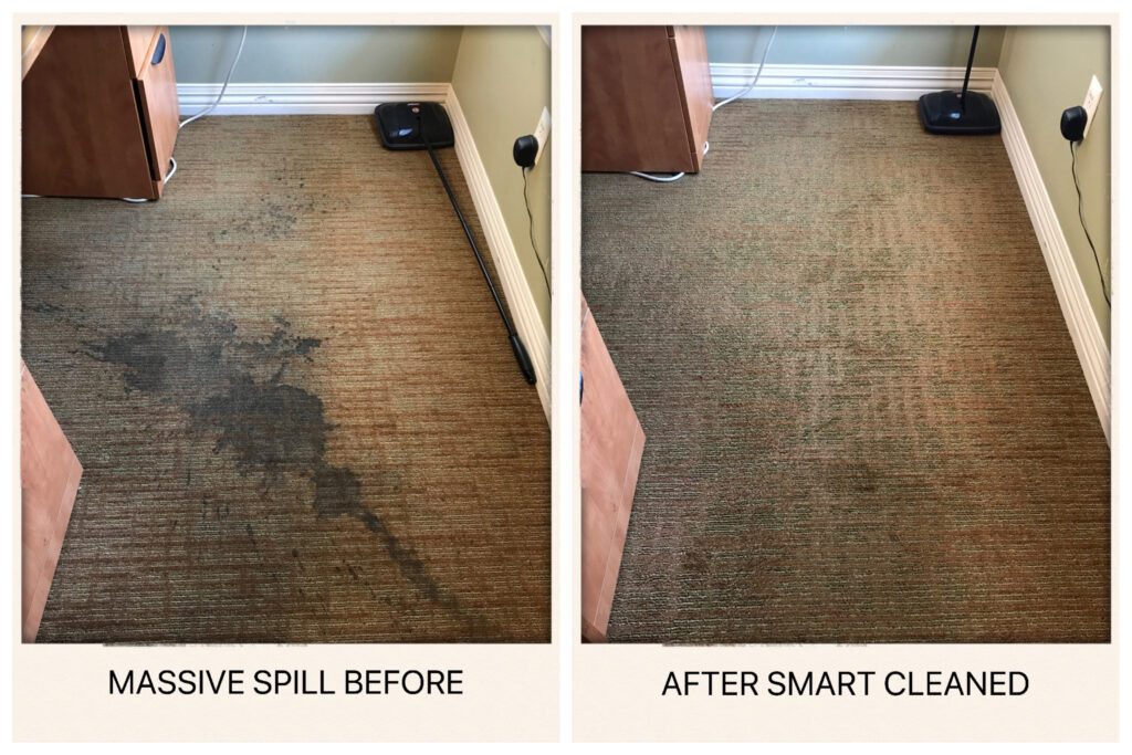 Best for a strong before-and-after carpet cleaning visual.